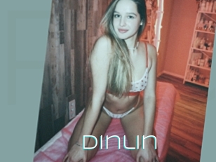 Dinlin