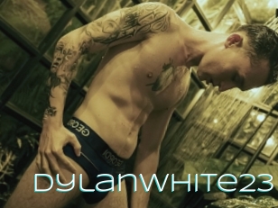 Dylanwhite23