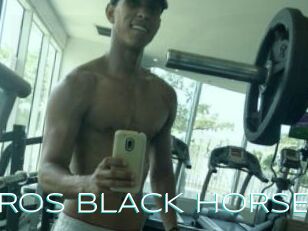 EROS_BLACK_HORSE