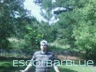 Escorbar_Blue