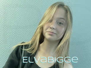 Elvabigge