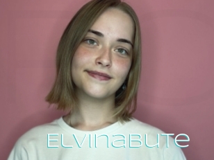 Elvinabute