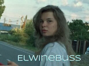 Elwinebuss