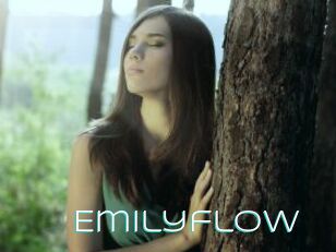 Emilyflow