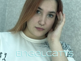 Engelcatts