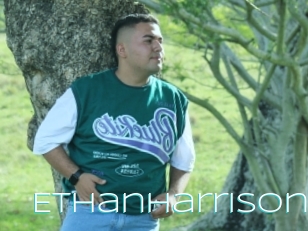 Ethanharrison