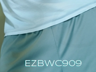 Ezbwc909