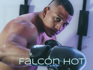 Falcon_hot