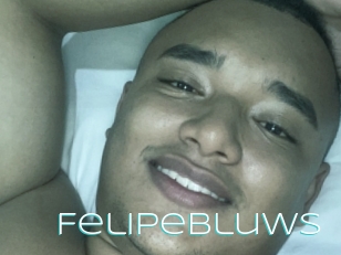 Felipebluws