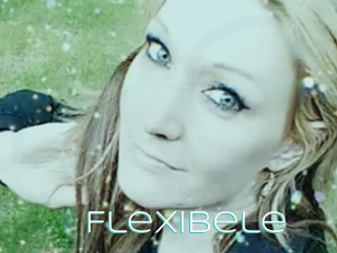 Flexibele