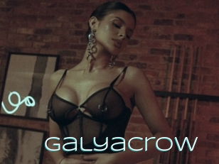 Galyacrow