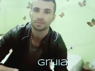 Gruia