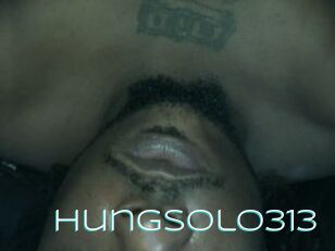 Hungsolo313