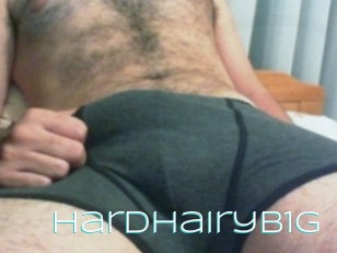 Hardhairyb1g