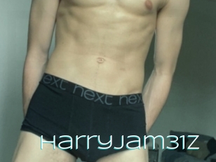 Harryjam31z