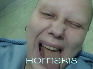 Hornak18