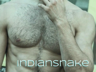 Indiansnake