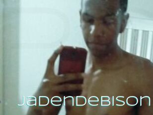 JadenDebison