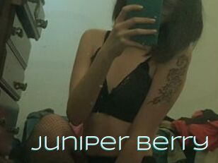 Juniper_Berry