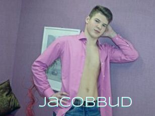 Jacobbud