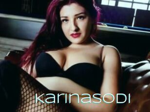 Karinasodi