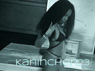 Kaninchen23