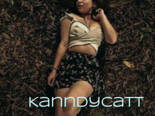 Kanndycatt