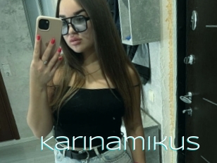 Karinamikus