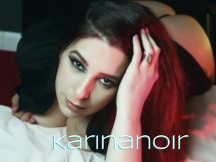 Karinanoir