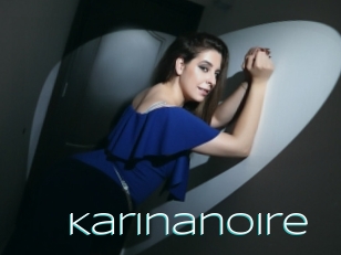 Karinanoire