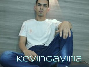 Kevingaviria