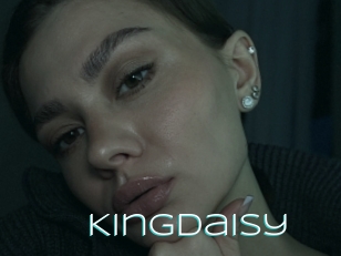 Kingdaisy