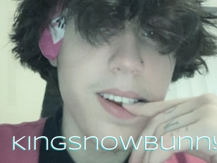 Kingsnowbunny