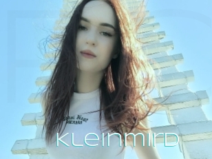 Kleinmird