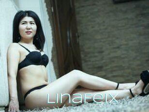 LinaFeiX