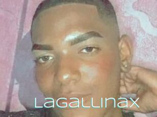 Lagallinax