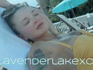 Lavenderlakexo