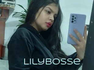 Lilybosse