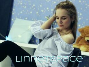 Linnetspace