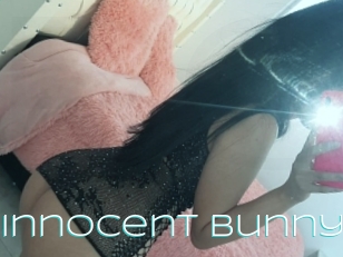 Little_innocent_bunny