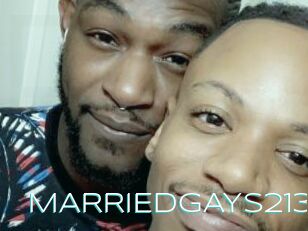 MARRIEDGAYS213