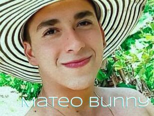 Mateo_Bunny