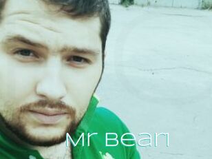 Mr_bear1