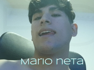 Mario_neta