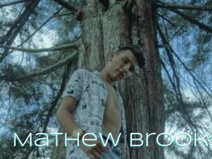 Mathew_brooks