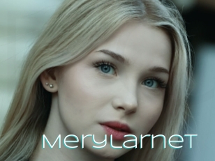 Merylarnet