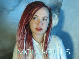 Mollybuls