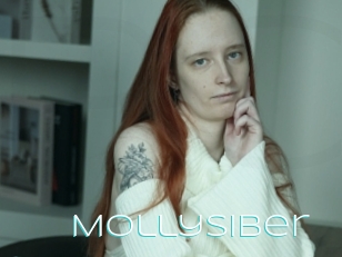 Mollysiber