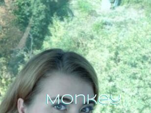 Monkey