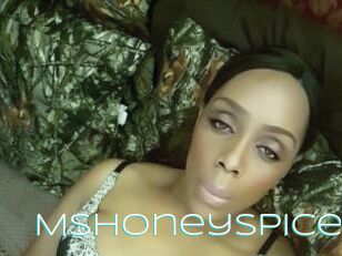 Mshoneyspice